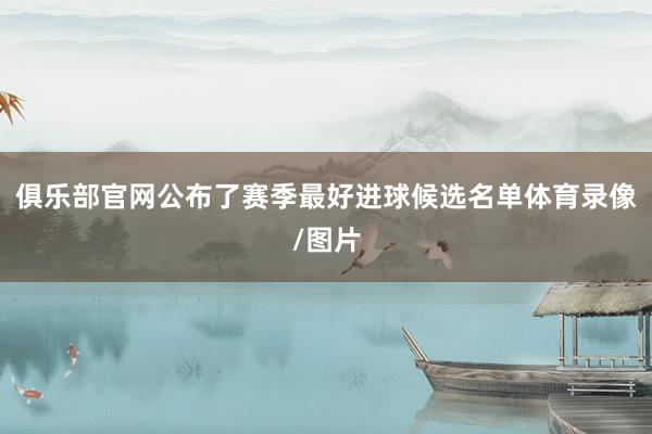 俱乐部官网公布了赛季最好进球候选名单体育录像/图片