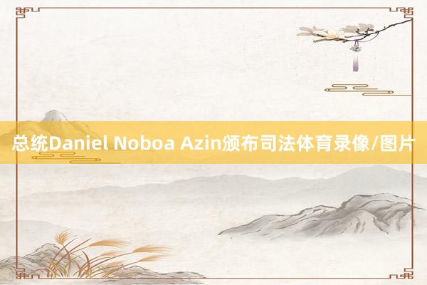 总统Daniel Noboa Azin颁布司法体育录像/图片